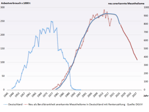 Zusammenhang Asbestverbrauch und Anstieg der Mesotheliomerkrankungen mit einer Latenzzeit von 20-60 Jahren