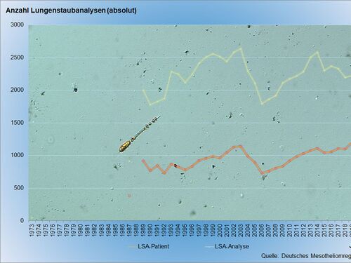 Lungenstaubanalysen 1973-2020